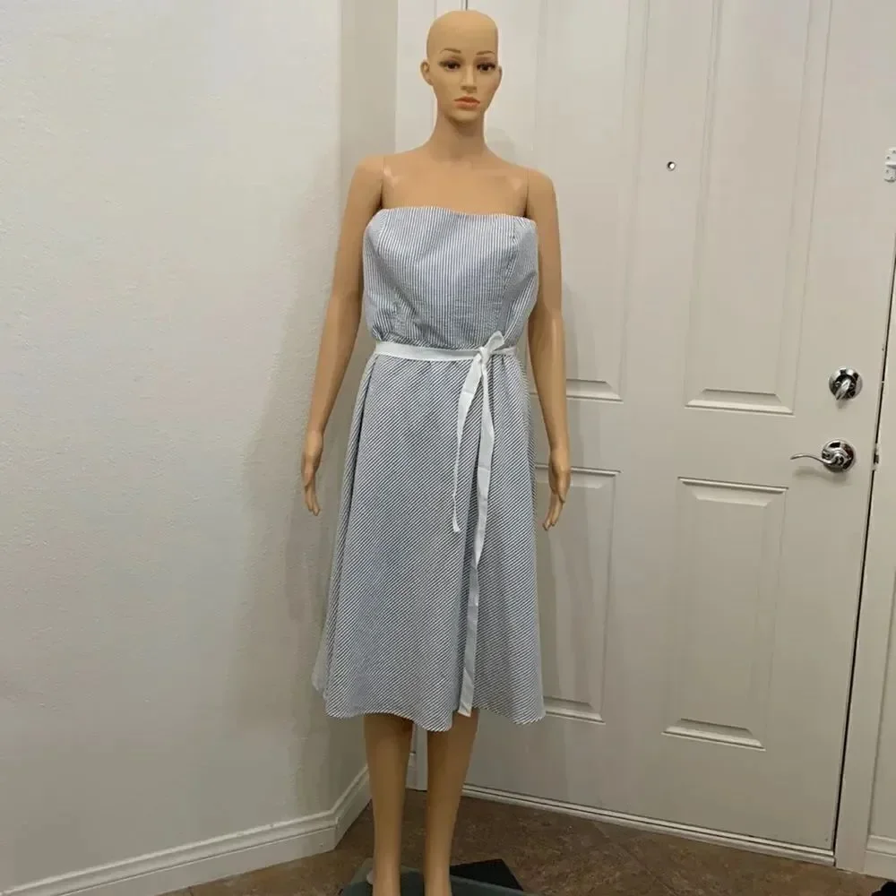 Ann Taylor Loft Size 12 Strapless Gray White Striped Belted Zip Woman’s Dress